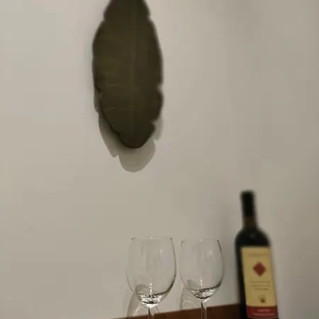 Apartment Friendly *
