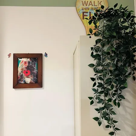 Friendly Apartamento *